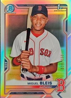 Miguel Bleis