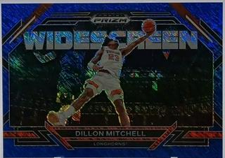 Dillon Mitchell