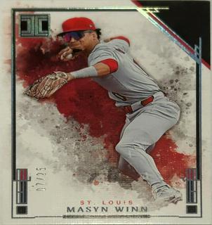 Masyn Winn