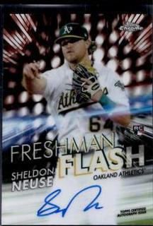 Sheldon Neuse