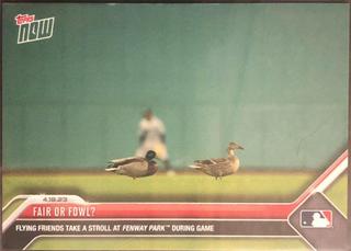Fair Or Fowl