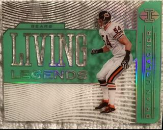Brian Urlacher