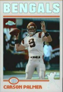 Carson Palmer