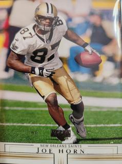 Joe Horn