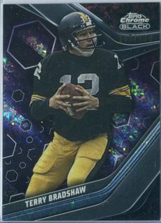Terry Bradshaw