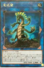 Agave Dragon #SOFU-JP048