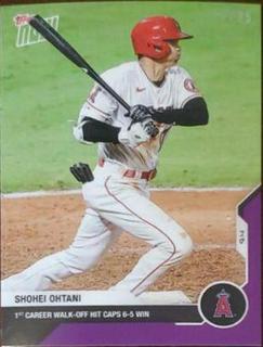 Shohei Ohtani