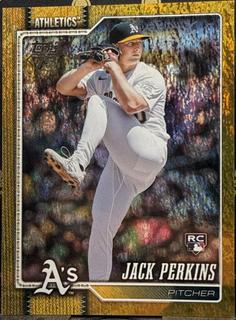 Jack Perkins