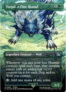 Torgal, A Fine Hound