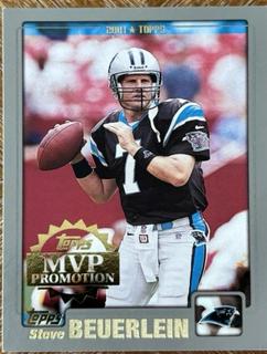 Steve Beuerlein