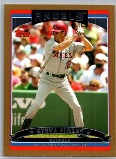 Steve Finley
