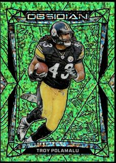 Troy Polamalu