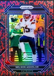 Nelson Agholor