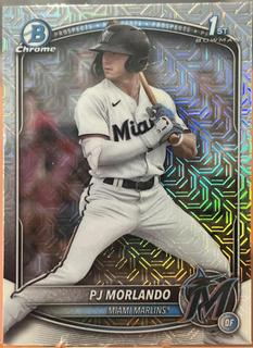 PJ Morlando