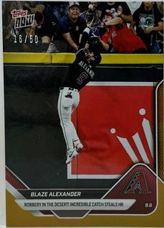 Blaze Alexander