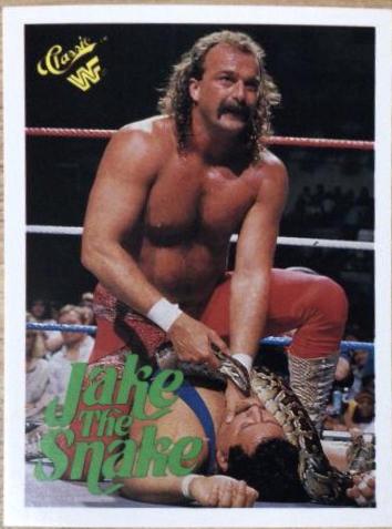 Jake 'The Snake' Roberts #108 Wrestling Cards 1990 Classic WWF