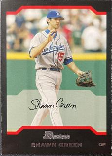 Shawn Green