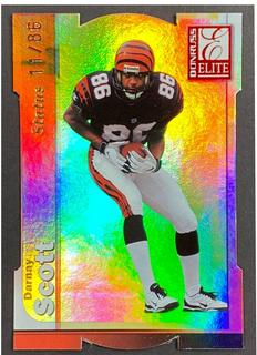 Darnay Scott