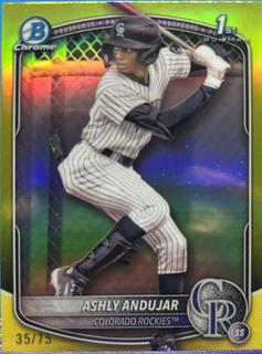 Ashly Andujar