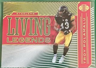 Troy Polamalu