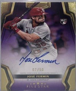 Jose Fermin