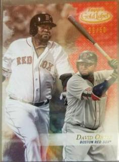 David Ortiz