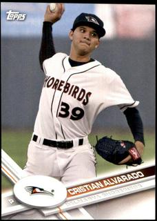 Cristian Alvarado