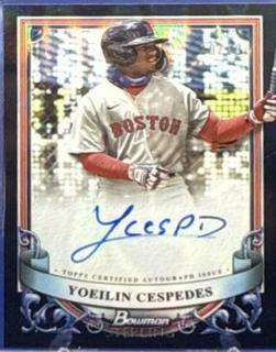 Yoeilin Cespedes
