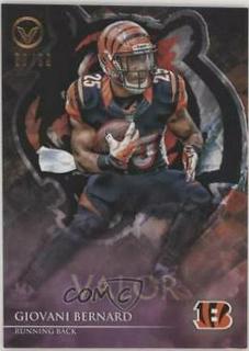Giovani Bernard