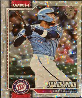 James Wood