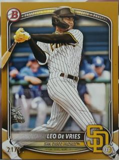 Leo De Vries