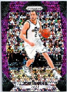 Joe Ingles