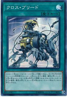 Cross Breed CYHO-JP066