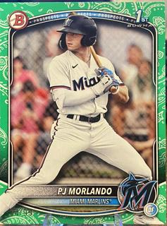 PJ Morlando