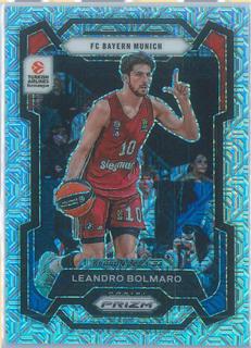 Leandro Bolmaro