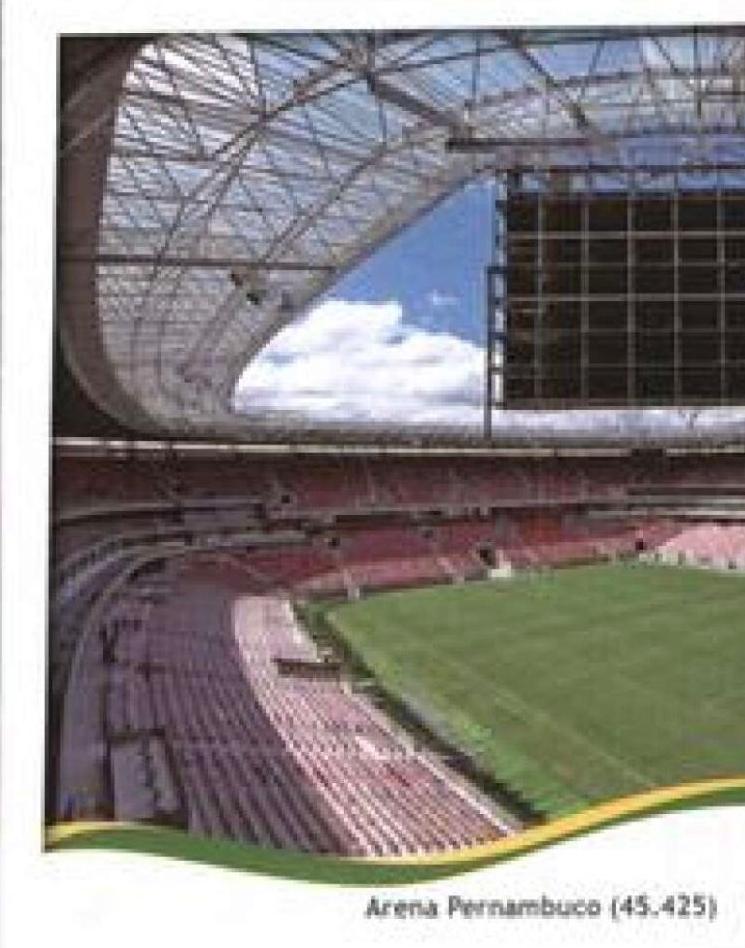 Arena Pernambuco #24 Soccer Cards 2014 Panini World Cup Stickers