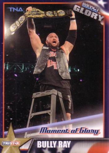 Bully Ray #9 Wrestling Cards 2013 TriStar TNA Impact Glory