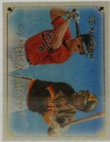 Cal Ripken Jr., Tony Gwynn