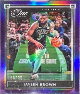 Jaylen Brown