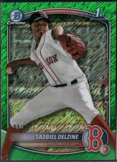 Sadbiel Delzine