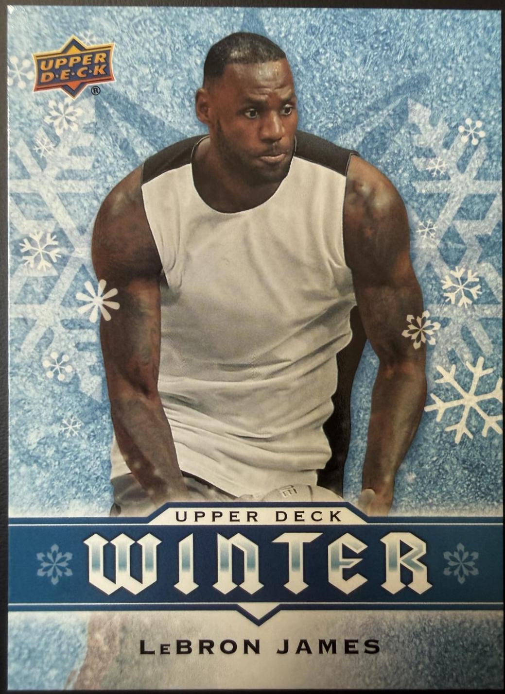 LeBron James #W2 2017 Upper Deck Winter Hockey