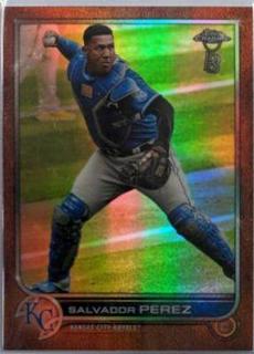 Salvador Perez