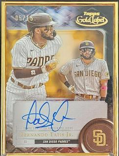 Fernando Tatis Jr.