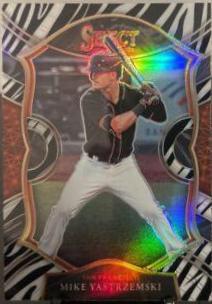 Mike Yastrzemski