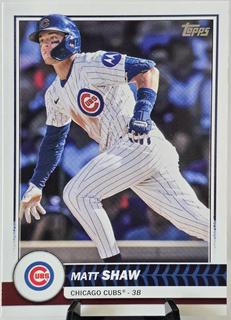 Matt Shaw