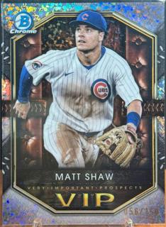 Matt Shaw
