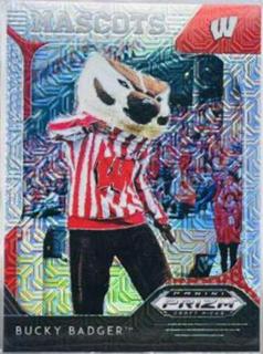 Bucky Badger