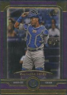Salvador Perez