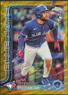 Steward Berroa