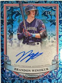 Brandon Winokur